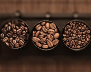 varietà_caffè